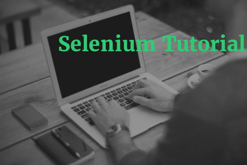 Selenium Training in Bangalore - Marathahalli